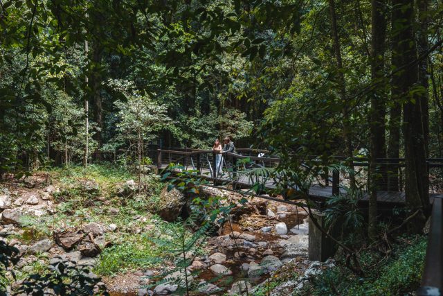 Springbrook & Tamborine